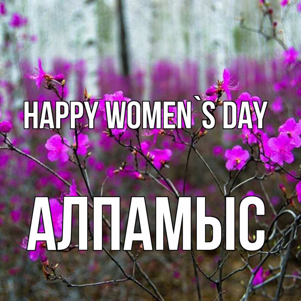 Greetings card с именем, Алпамыс happy women`s day дикие цветы Greetings with text for free download 
